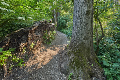 Gemeinde Altötting Landkreis Altötting Gries Mörnbach Natur-Erlebnispfad (Dirschl Johann) Deutschland AÖ